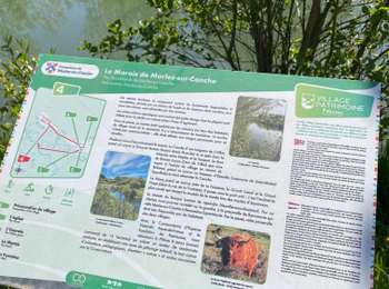 Percorso Mountainbike Marles-sur-Canche - Wikiloc - Marais - Marles-sur-Canche - Photo