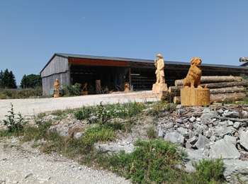 Trail Walking La Pesse - La croix des Couloirs - Photo