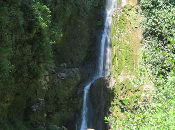 Percorso A piedi Saint-Claude - La Soufrière et le retour par le Col de l'Échelle - Photo
