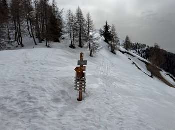 Trail Snowshoes Valdeblore - Caïre Gros - Photo