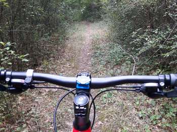 Tocht Hybride fiets Quint-Fonsegrives - Sainte-Foy d'Aigrefeuille Teulat Gragnague - Photo