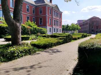 Trail Walking Seraing - Les bois du Val Saint-Lambert  - Photo