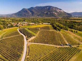 Percorso Bici da strada Massignieu-de-Rives - Activity - Photo