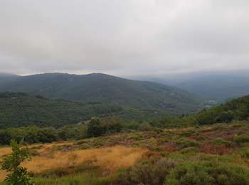 Randonnée Trail Saint-Pons-de-Thomières - le Mourel - Photo
