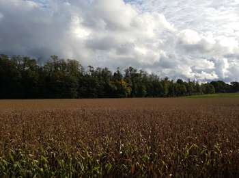 Tour Wandern Limours - Essonne_Tour_des_Fermes_de_la_Prédecelle - Photo