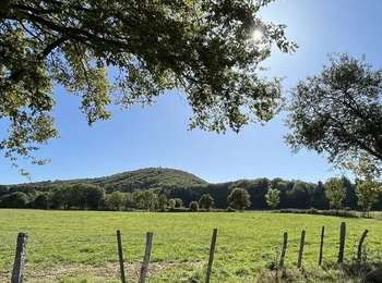 Percorso Marcia Charbonnières-les-Varennes - Beaunit_Narse_JG_02 - Photo