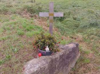 Excursión Bici de montaña Mamer - De Capellen à Virton - Photo