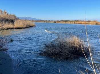 Trail Electric bike Penta-di-Casinca - RAPAJO EMBOUCHURE DU GOLO - Photo