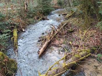 Trail Walking Fougerolles-Saint-Valbert - 01-02-26 : Maison - St Valbert - parc animalier- retour par les Granges - Germenain - Photo