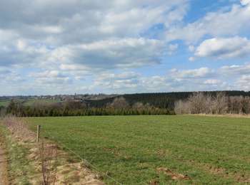 Trail Walking Büllingen - Enkelbergermühle - Photo