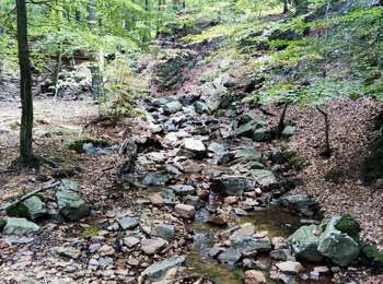 Percorso Marcia Spa - La promenade des artistes (7,6km)   - Photo