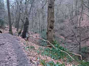 Trail Walking Liège - monter st Jacques et descendre st laurent - Photo