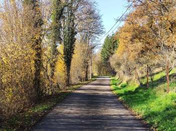 Percorso Marcia Durbuy - Le bois d’En(n)eille(s)  - Photo
