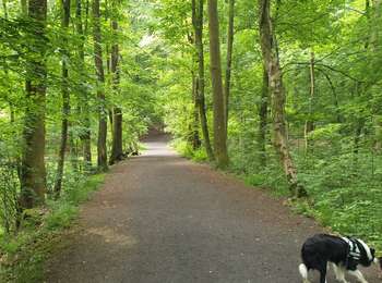 Trail Cross-country skiing Braine-le-Comte - Braine le Comte - Photo