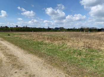 Randonnée Marche Asse - WSV Manke Fiel Asse 5 km - Photo