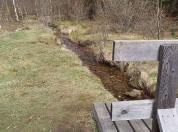 Trail Walking Bütgenbach - Vennbahn-Croix des Fagnes-Fagnes de Cléfaye-Etang de Schwarzbach - Photo