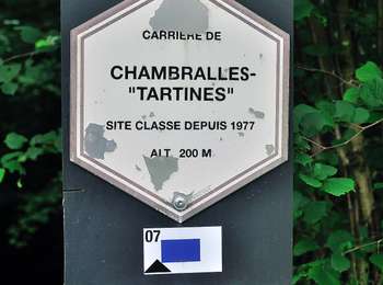 Excursión A pie Comblain-au-Pont - CB08 Fraiture - Rouvreux - Martinrive - Halleux - Oneux - Photo