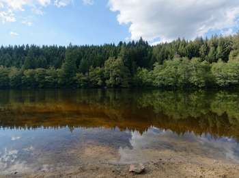 Percorso A piedi Saint-Victor-Montvianeix - Margault, la truite Fario - Photo