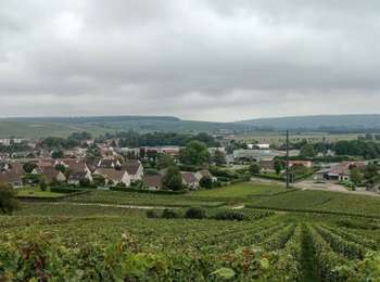 Excursión Senderismo Crouttes-sur-Marne - Crouttes-sur-Marne du 26-09-2021 - Photo