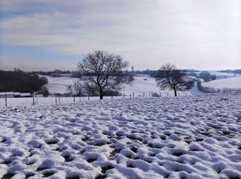 Trail Walking Flémalle - Promenade des Cahottes   - Photo