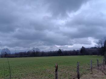 Trail Walking Ferrières - bosson . burnontige . lantroule . Le grand trixhe . bosson  - Photo