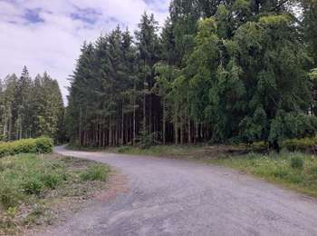 Trail Hybrid bike Libramont-Chevigny - 13072941-VTC70KM_LIBRAMONT - Photo