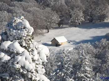 Randonnée Raquettes à neige Saint-Agnan-en-Vercors - Beure - Écondus - Photo