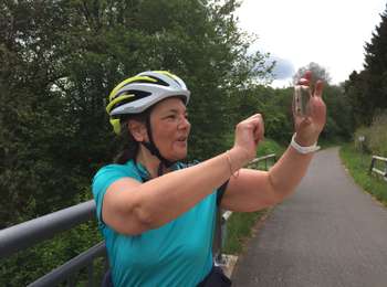 Excursión Bici de carretera Bütgenbach - Ravel Butchenbach Hallslag (D) - Photo