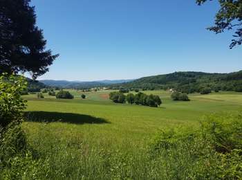 Trail Mountain bike Pont-de-Poitte - poitte écrille poitte - Photo