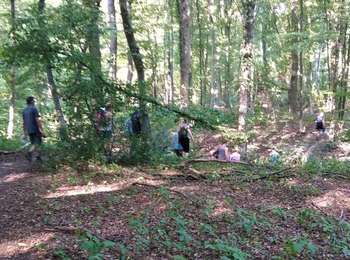 Trail Walking Fleurus - ELVOBAL -SOLEIMONT - CAMPINAIRE -novembre 2020 - Photo