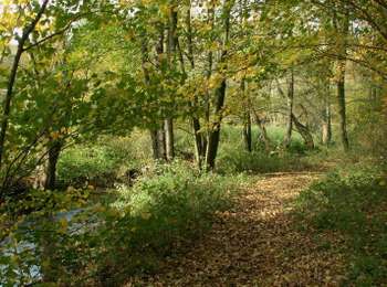Trail On foot Lontzen - Busch - Photo