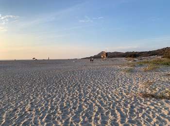 Trail On foot Palasca - Haute-Corse - Photo