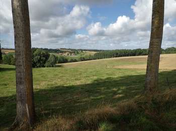 Tocht Stappen Itter - #200828 - Ittre et golf de la Tournette - Photo