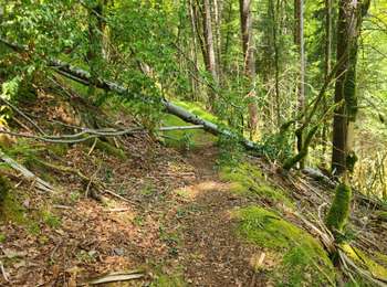 Trail Walking Vulvoz - fin vulvoz cascade embranch.choux - Photo