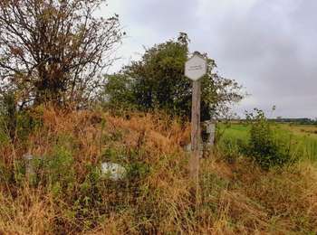Tour Wandern Cerfontaine - Senzeilles- Promenade de Beau Château  - Photo