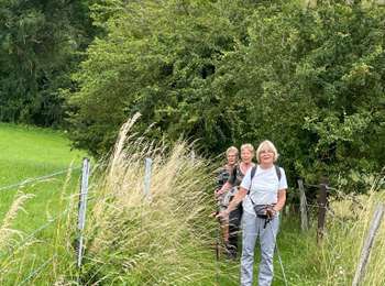 Trail Walking Nandrin - Villers - Photo