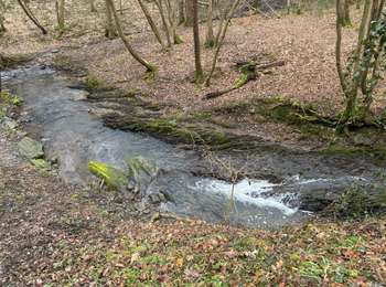 Percorso Marcia Huy - Ben ahin solieres huy 16,6 km - Photo