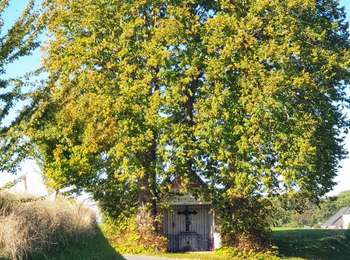 Trail Walking Walcourt - Balade à Berzée - Walcourt - Photo
