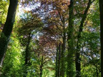 Randonnée Marche Beekdaelen - Hulsberg_870 - Photo