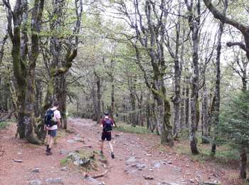 Trail Walking Le Valtin - Les Rochers des Hirschsteine - Lac Vert - Photo