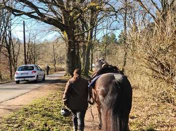 Tour Pferd Lubeln - Wikiloc - Saint-Avold : Etang de la Papiermüehle et point de vue du Steinberg - Photo