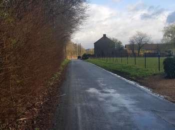 Trail Walking Éghezée - Marche Adeps 09 mars 2018 - Photo