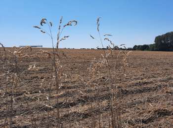Percorso Bici ibrida Bassenge - 2022.08.12 ENEO Bassenge- Tongres - Photo