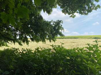 Tocht Stappen Itter - Ittre  - Photo