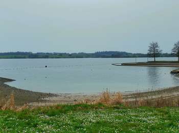 Trail Walking Froidchapelle - Balade au Lac de la Plate Taille - Photo