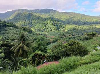 Trail Walking Le Lorrain - Plateau Morne Capot en boucle via Fond Labour - Photo