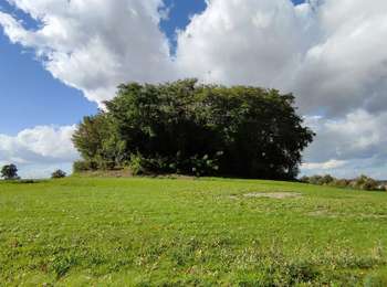 Percorso Marcia Incourt - Promenade du Tumulus (6,1km)  - Photo