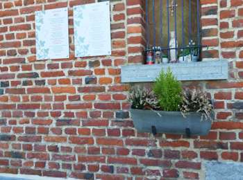 Trail Walking Silly - silly - Photo