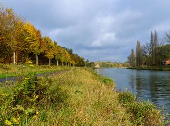 Trail Walking Braine-le-Comte - RL-GG-23 - Hennuyères - Nivelles - 2025-05-19 - Photo