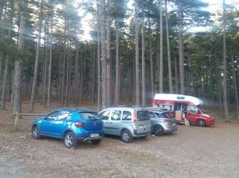 Trail Walking Albertacce - lac nino - Photo